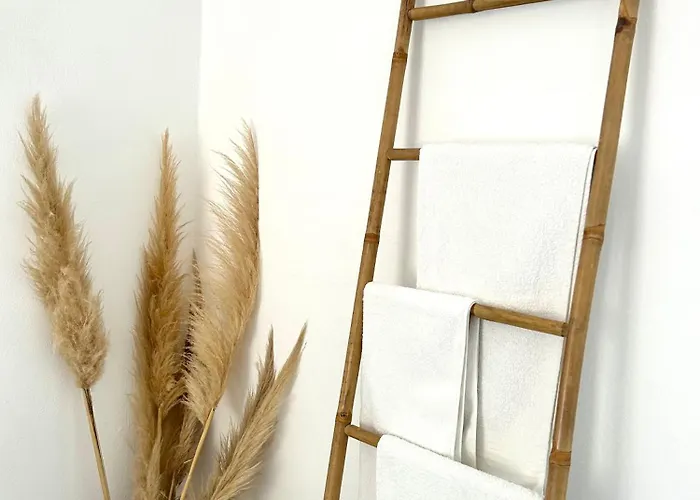 公寓 Boheme 2 斯基亚索斯镇