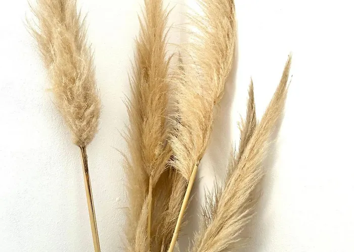 Appartement Boheme 2